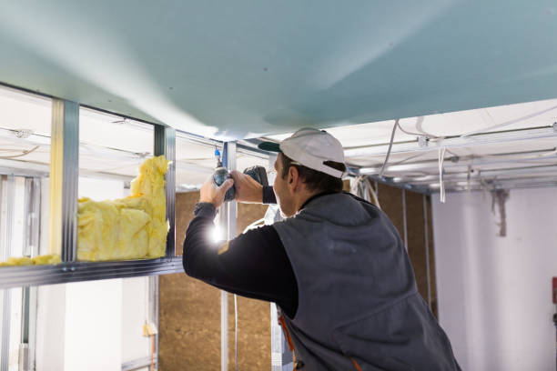 Best Spray Foam Insulation in Vernon, AL